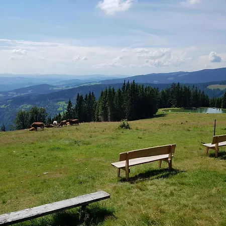 Alojamento de Turismo Rural Urlaub Am Glatzl Bauernhof Sankt Lorenzen am Wechsel