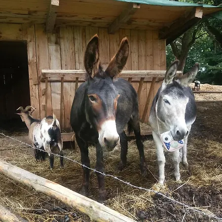 팜스테이 Urlaub Am Glatzl Bauernhof Sankt Lorenzen am Wechsel