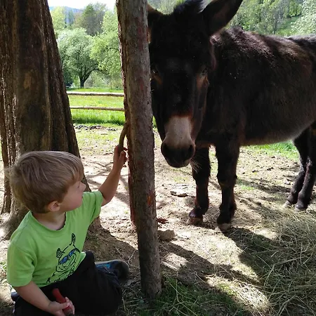 Urlaub Am Glatzl Bauernhof 팜스테이 *