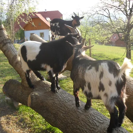 Alojamento de Turismo Rural Urlaub Am Glatzl Bauernhof Sankt Lorenzen am Wechsel