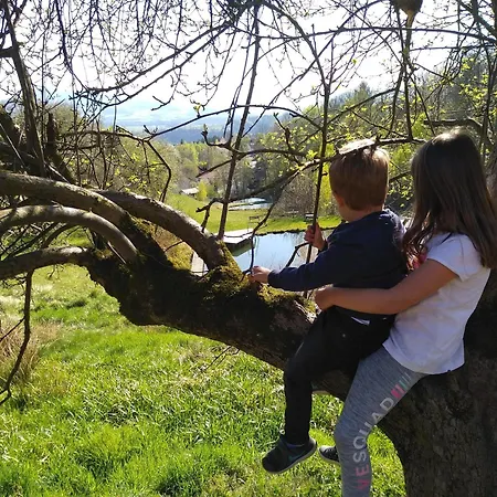 Urlaub Am Glatzl Bauernhof