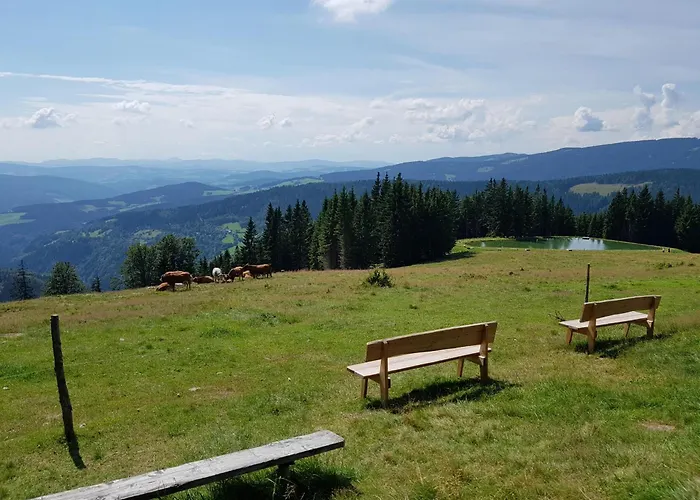 农家乐 Urlaub Am Glatzl Bauernhof Sankt Lorenzen am Wechsel