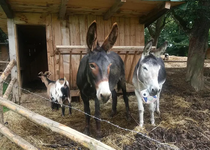 农家乐 Urlaub Am Glatzl Bauernhof Sankt Lorenzen am Wechsel