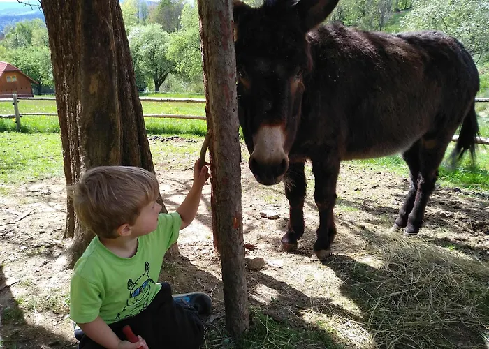 Urlaub Am Glatzl Bauernhof 农家乐 *
