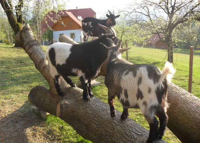 农家乐 Urlaub Am Glatzl Bauernhof Sankt Lorenzen am Wechsel