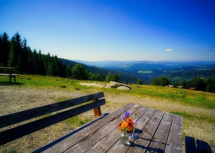 农家乐 Urlaub Am Glatzl Bauernhof Sankt Lorenzen am Wechsel