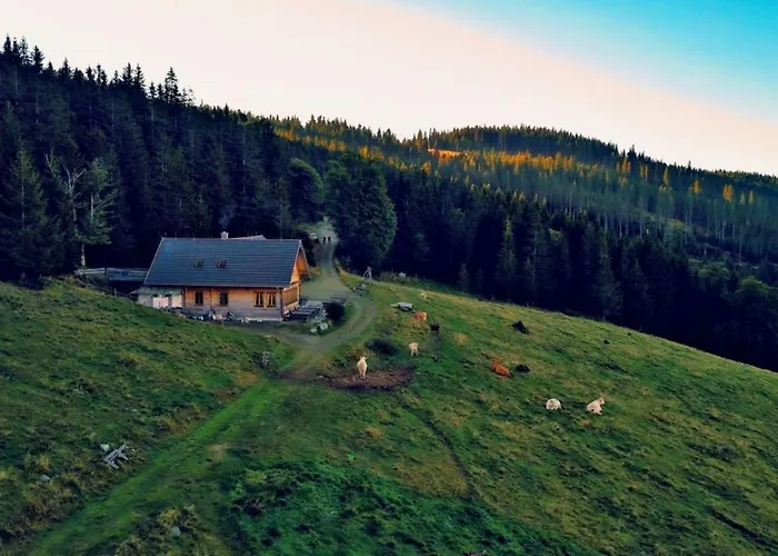 农家乐 Urlaub Am Glatzl Bauernhof Sankt Lorenzen am Wechsel